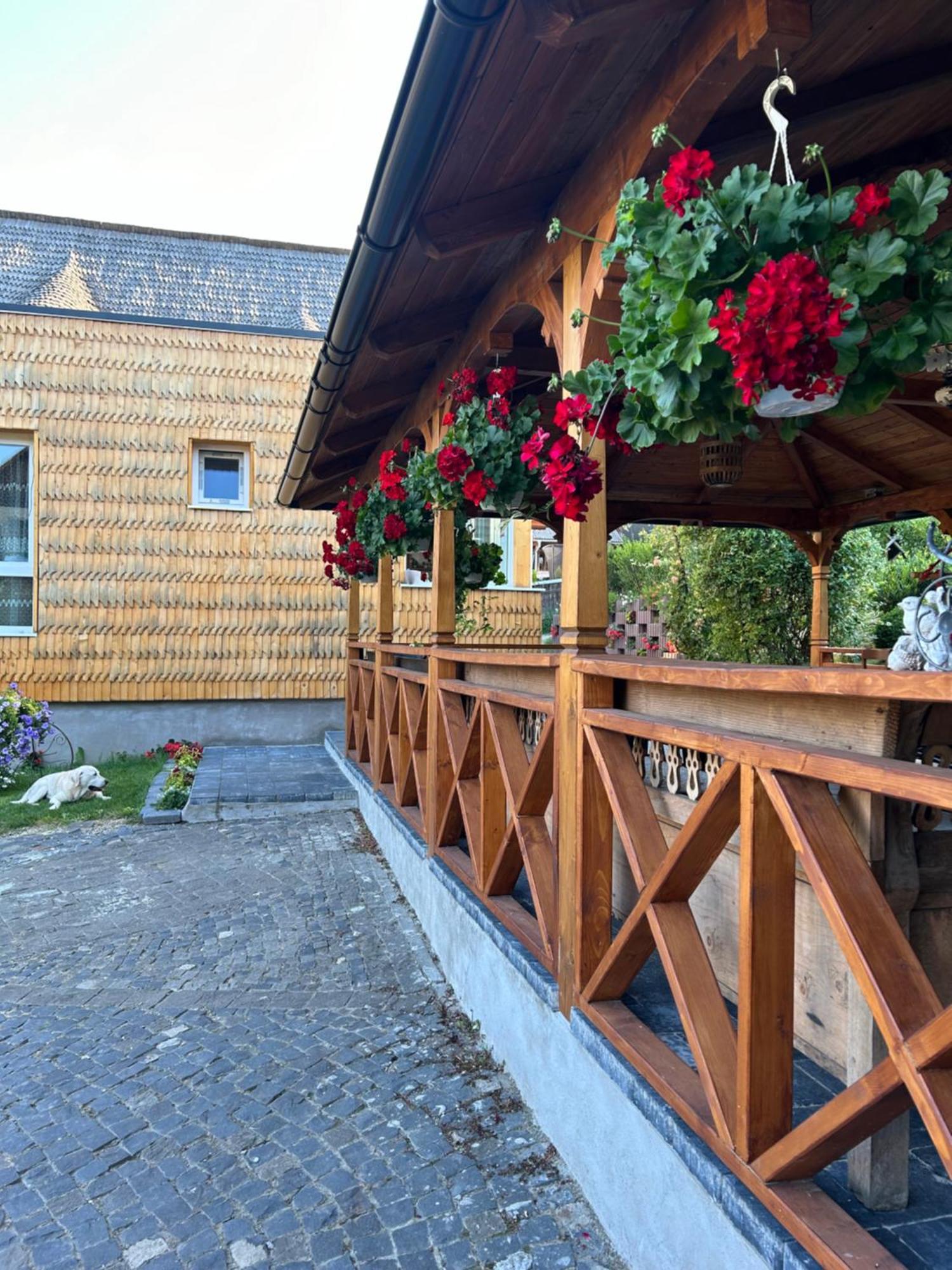 Hotel Casa Cu Magnolii Poienile Izei Exterior foto