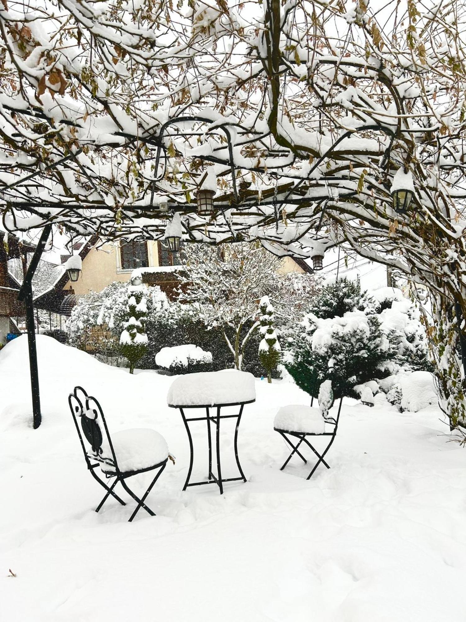 Hotel Casa Cu Magnolii Poienile Izei Exterior foto
