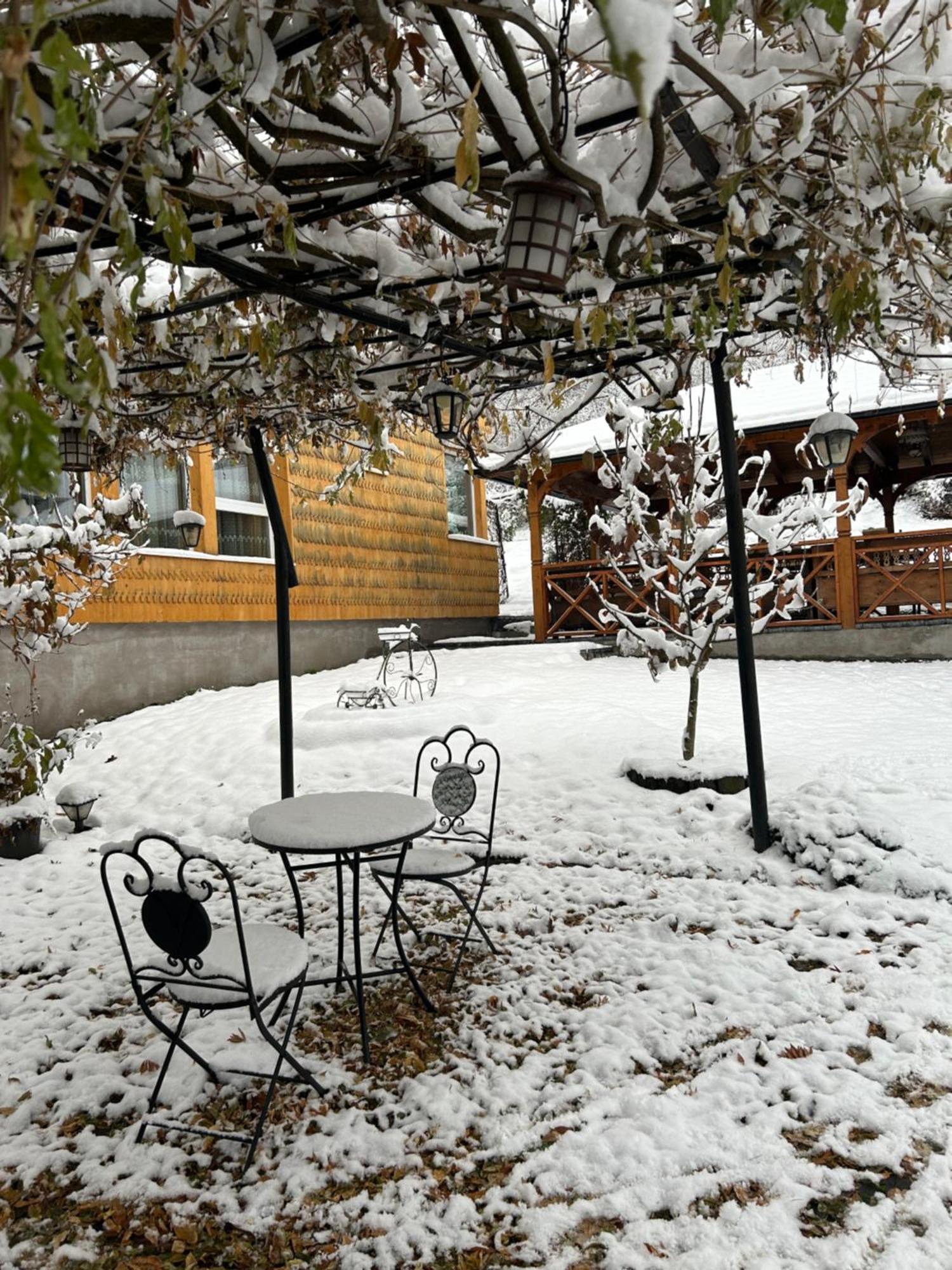Hotel Casa Cu Magnolii Poienile Izei Exterior foto